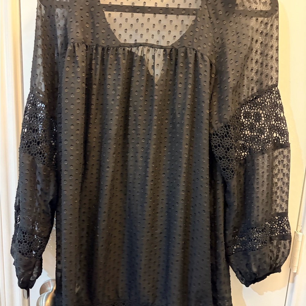 Daniel Rainn Black Swiss Dot Lace Trim Blouse - Picture 5 of 6